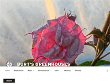 Tablet Screenshot of burtsgh.com